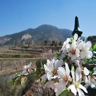 Encina Centenaria מלון 2*