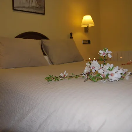 Hotel Encina Centenaria 2*